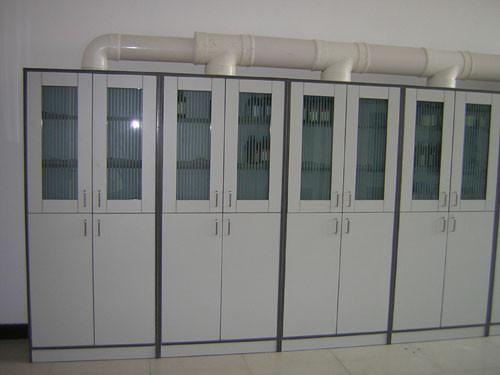 Customized Tall Storage Computer Lab Furniture , 2 Door Chemical Storage Cabinet