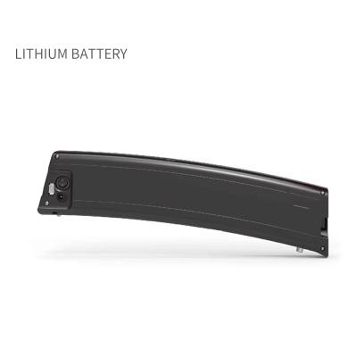 18650 48v 10ah Lithium Ion Electric Bicycle Battery Pack Long Cycle