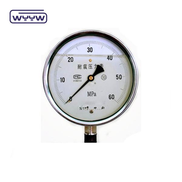 2.5 industrial oil filled pressure gauge price