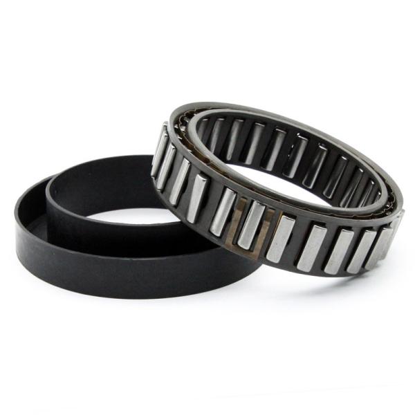 Chrome Steel Sprag Cam One Way Clutch Bearings BW-13167 Freewheel