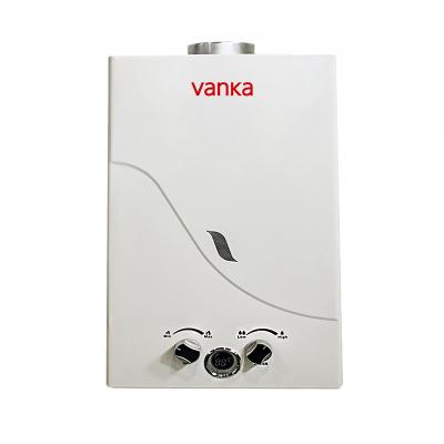 Kitchen Flue Gas Water Heater Wall Mounted Instant Tankless 6L Outside Gas Water Heater
