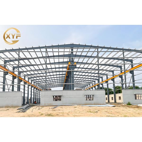 Prefab Steel Structure Hangar Cheap Metal Shed Steel Building Warehouse Prefabricated Steel Structure Warehouse