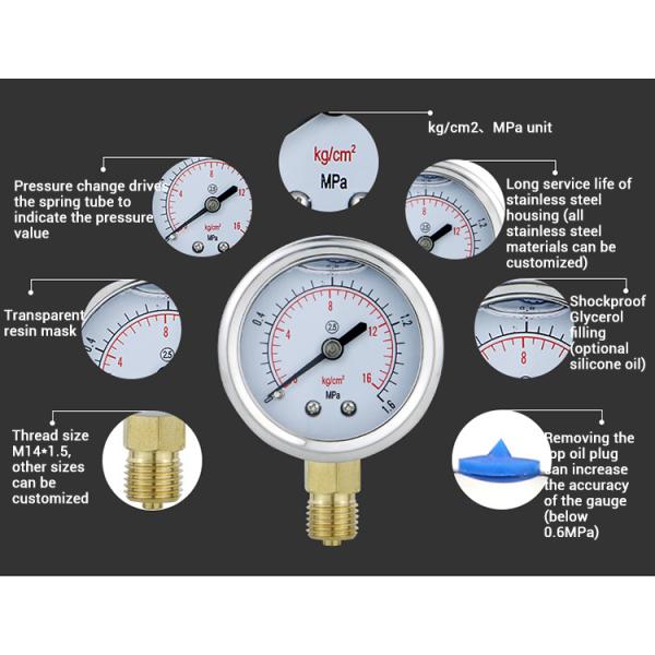 50mm Pressure Indicator Small Liquid Filled Pressure Gauge for Industrial Applications