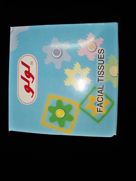 Eco Friendly Healthy 80 sheet Cube Box Facial Tissue , 18x20cm 14gsm