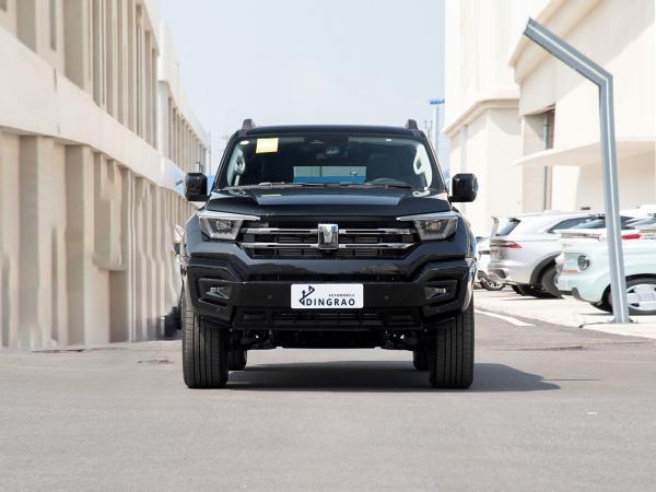 385Nm 185KW 252Ps 4WD 5 sièges 5 portes 2.0T réservoir 400 SUV essence carburant voiture neuve
