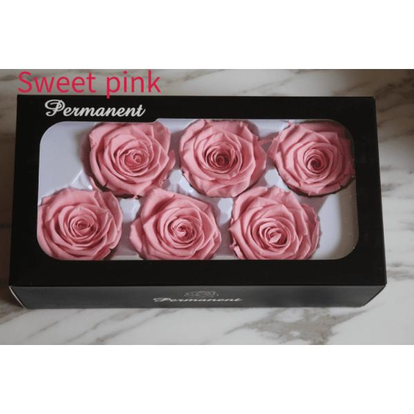 beautiful preserved rose flower A grade stabilized rose preserved long lasting eternal rose 4-5cm