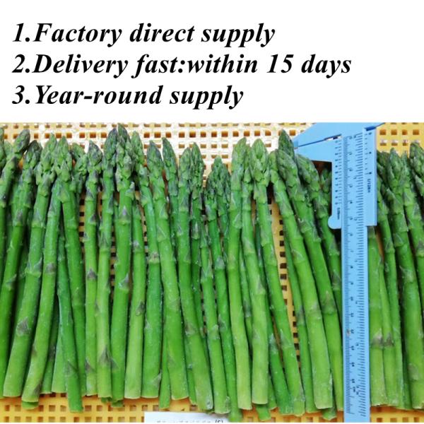 Asparagus Spears Esparragos Espargos Frozen Vegetables IQF Frozen Green Asparagus Seed a Grade Bulk Packaging Asparagus Price