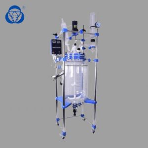 10L Borosilicate Glass Jacketed Glass Reactor with 220V Motor Power and Customizable Features for Pharmaceutical Industry