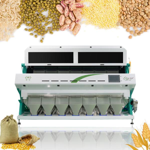 WENYAO High Efficiency Automatic Color Sorter System For Nut And Dry Fruit