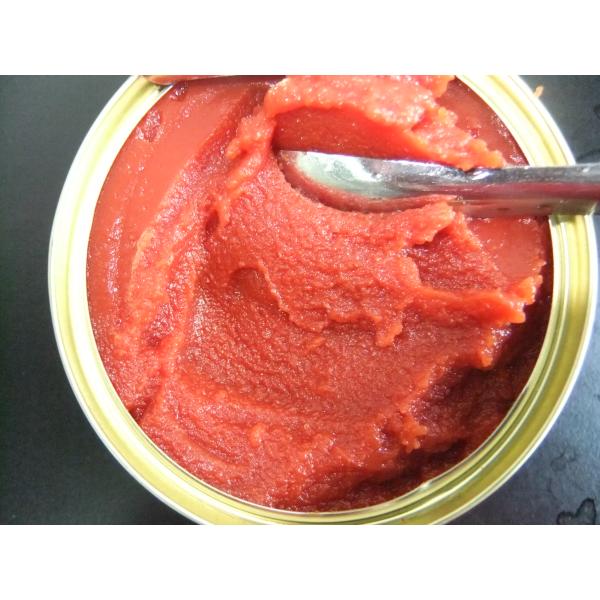 Cold Break Canned Tomato Paste Without Peculiar Smell And Preservatives