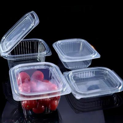 Customized factory disposable transparent vacuum formed rectangular PET plastic hinge clam shell flat lid sauce, fruit and vegetable pudding box
