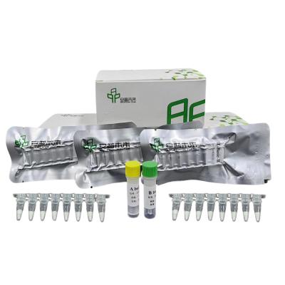 Kit de Amplificação Isotérmica de DNA de Alta Fidelidade 20 minutos
