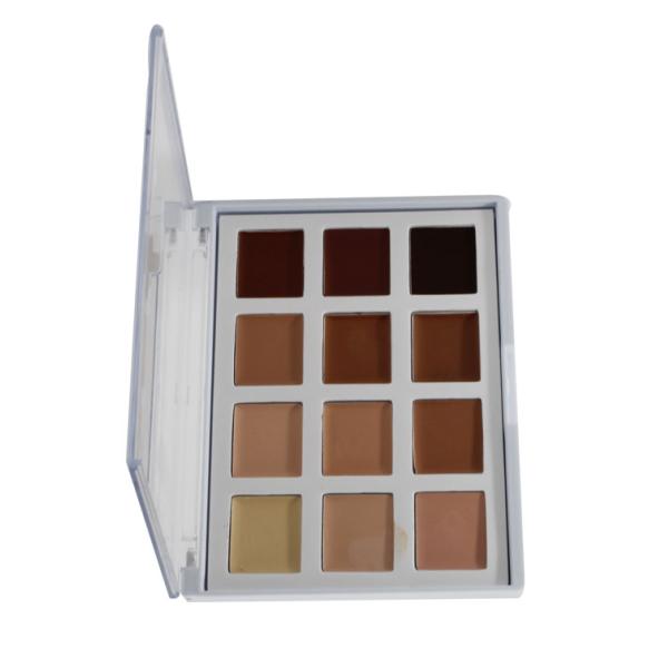 Beauty Product Makeup Cosmetics Concealer Palette With 12 Nice Colors