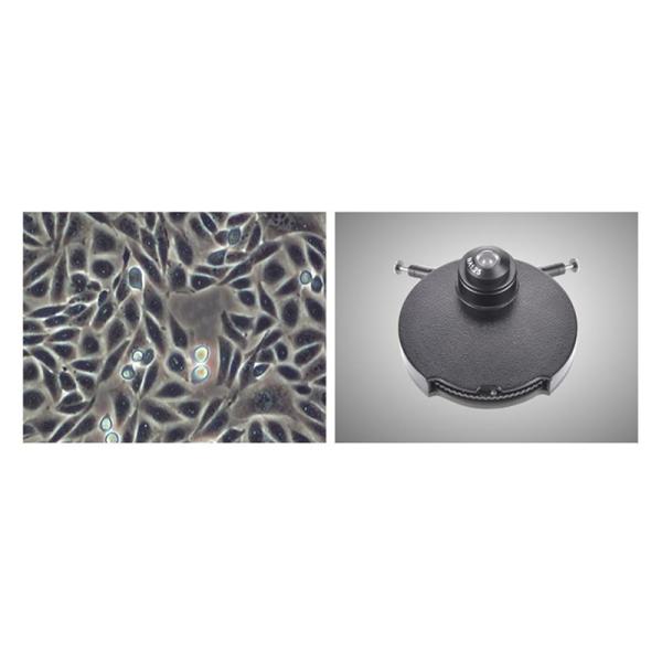 Research Scientific Full Auto Motorized Opto-Edu Binocular Biological Microscope A12.1095