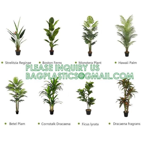 Gorgeous Cycas Revoluta Sago Palm Tree Artificial Plant with Nursery Pot, Feel Real Technology, 28 Long & Giant