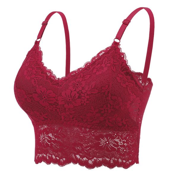 Women Lace Bra High Quality Lace Undergarments S-XL Sizes Available Multi-Colors Women Underpants Wholesale Sourcing Bra