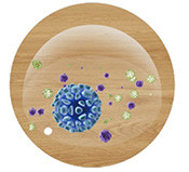 Водонепроницаемое деревянное зерно 4 мм 5 мм 6 мм Интерлок Клик-Лок Виниловый камень Пластиковый композит SPC IXPE Полы для внутренних помещений