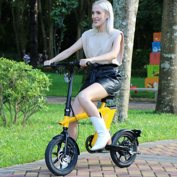 70-75km Range Lithium Ion Rechargeable Battery with 15° Climbing Angel