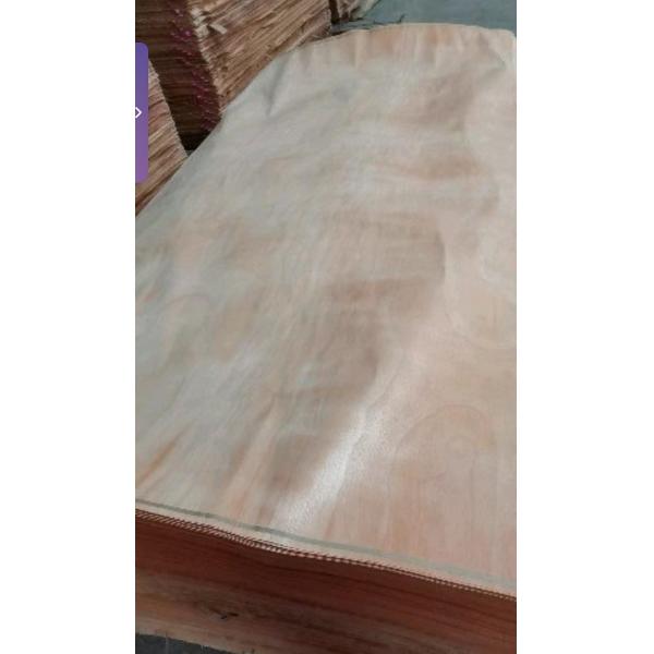 2440*1220 Весь фрагмент Габон Окуме деревянный фанера 0.2 мм - 0.4 мм Для фабрики модных панелей