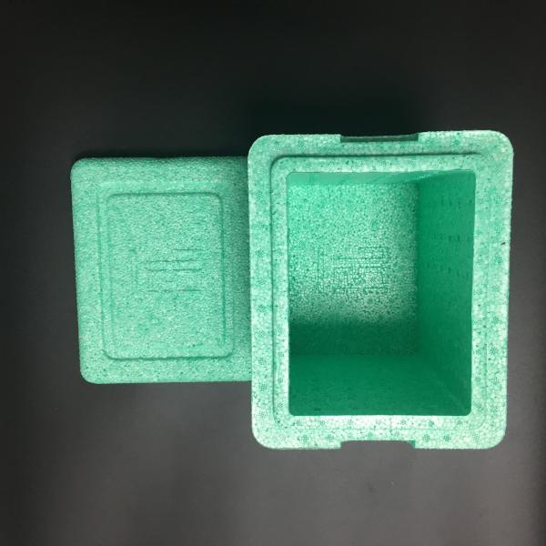Do refrigerador reciclável amigável do PPE da caixa do PPE do ODM Eco do OEM isolação térmica