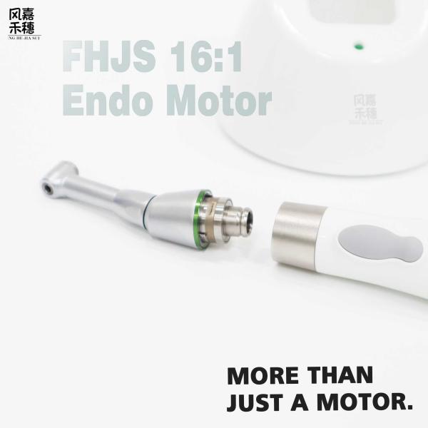 Endo Motor 9 Preset Programs & Auto-Reverse for Safe Root Canal 1