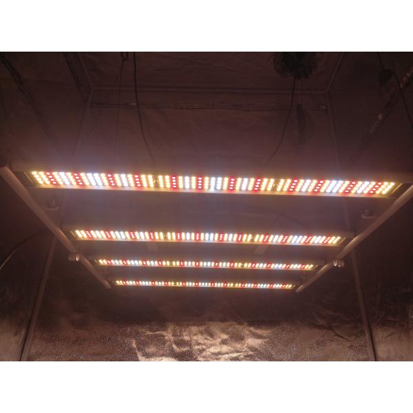 Galaxy 2835SMD LED 240W 4 Bars Foldable Plant Grow Lights 0 - 10V Dimmable