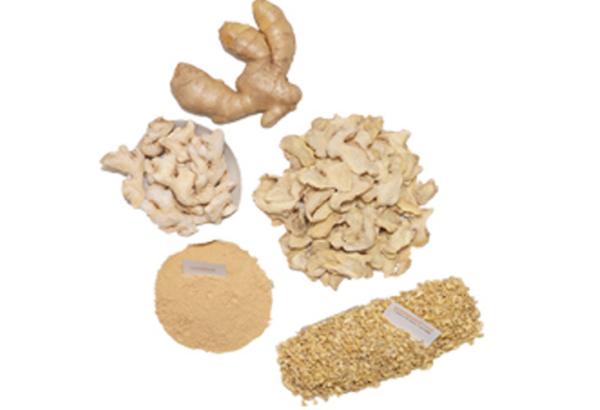 New Crop Air Dried Ginger Powder From Factory Ginger Manufacturer Made Dehydrated