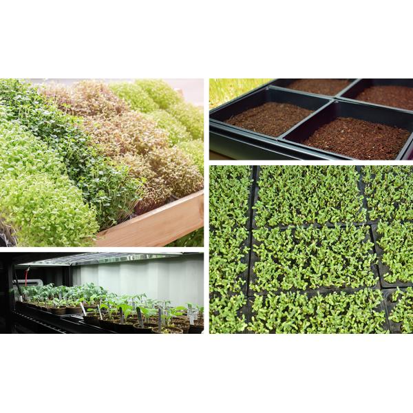 Plastic Flower Pots, Water Cans, Garden Growing Trays with Drain Holes, Microgreens Seed Tray, Hydroponic Trays, Nursery