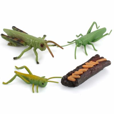 4 PCS Insecto Realista Galinha Modelo do Ciclo de Vida Animal Figura Toppers de Bolo Jogos de Aprendizagem de Desenvolvimento para Meninos Meninas Crianças