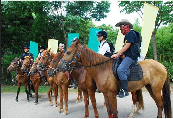 Укладывайте рюкзак полиэстер на открытом воздухе Teardrop сигнализирует поляка выдвиженческих знамен Teardrop алюминиевый