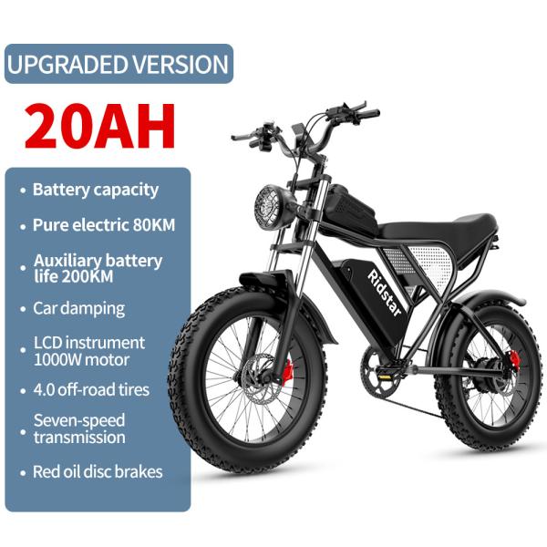 48V 1000W 20Ah 20 X4.0 Fat Tire Electric Mountain Bike With Removable Battery