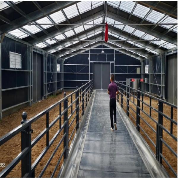 Wind Resistant Prefab Farm Buildings Steel Structure Farm House Metal Building