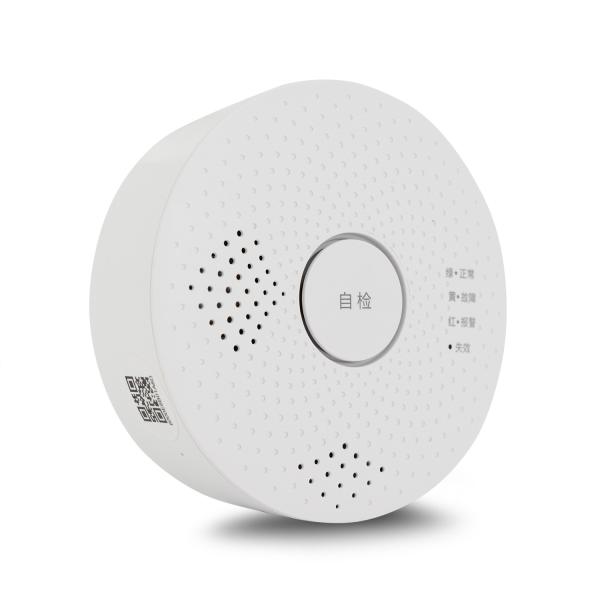 EN Wired Smart Gas Alarm Detector Natural CH4 Methane For Home