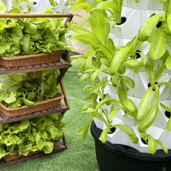 65L Capacidade de água 10 camadas 80 buracos de plantas Sistema de torre de crescimento hidropônico para o crescimento das plantas