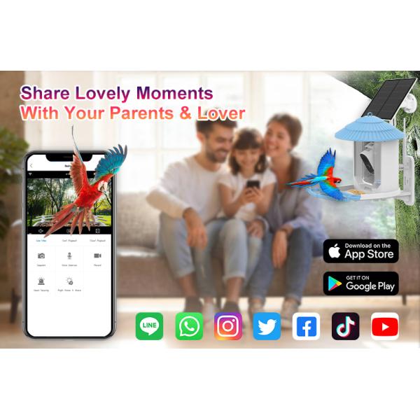 IP66 impermeable 4MP Smart Bird Feeder 2.5L Vida silvestre cámara inteligente para pájaros