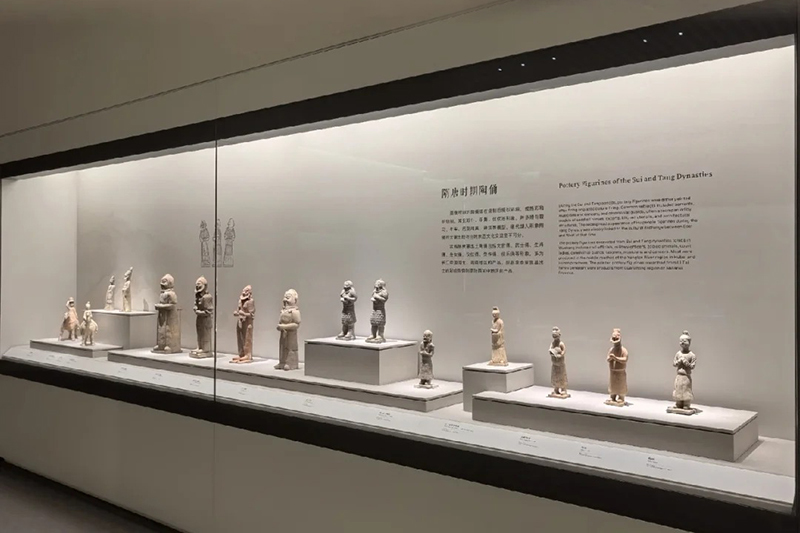 Custom Museum Wall Display Case with Anti-UV Low-Iron Glass Fully Sealed Dust-proof Structure and Integrated Professional LED Lighting