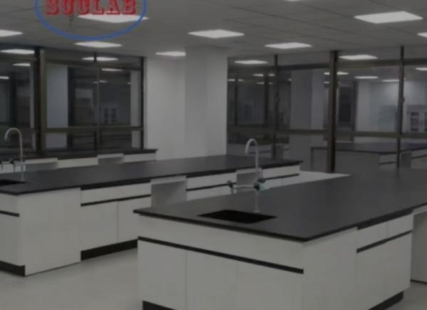 Customized Corrosion-resistant and Acid and Alkali Resistant Chem Lab Workbench Maker with Safety Features