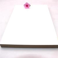O ANIMAL DE ESTIMAÇÃO amigável de Eco Matte White 0.35mm laminou os painéis do MDF