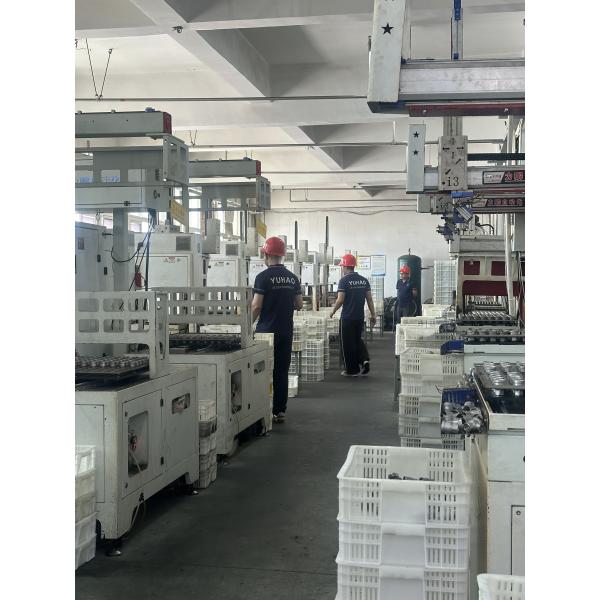 Stainless Steel 2-Piece Ball Valve 304 316 BSP NPT Threaded