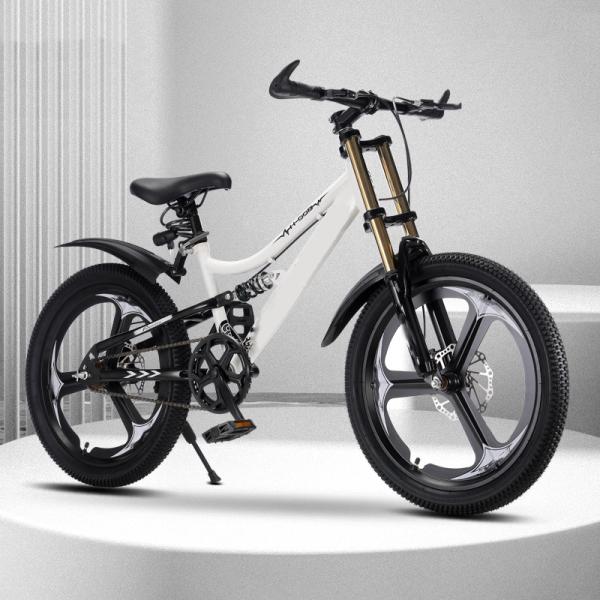 Vélo de montagne personnalisé à double absorbeur de choc frein à disque 2,35 pneu extérieur une roue de pièce 20/22/24 pouces