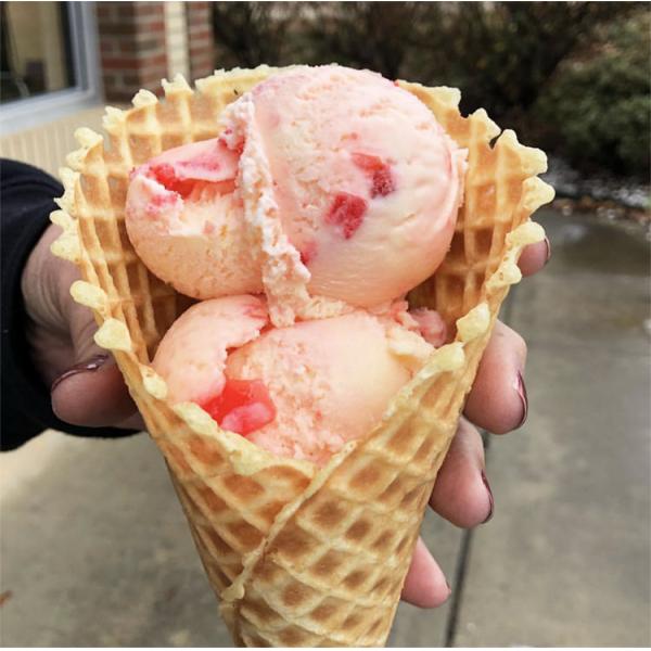 Double Head Ice Cream Base Egg Roll Pizza Cone Waffle Cone Maker Waffle Maker