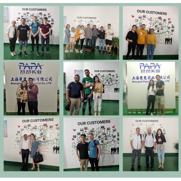 Shanghai Papa Industrial Co.,LTD