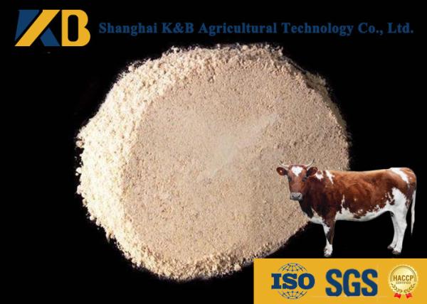 Non - Allergen Organic Brown Rice Protein Powder / Raw Rice Protein Yellowish Color