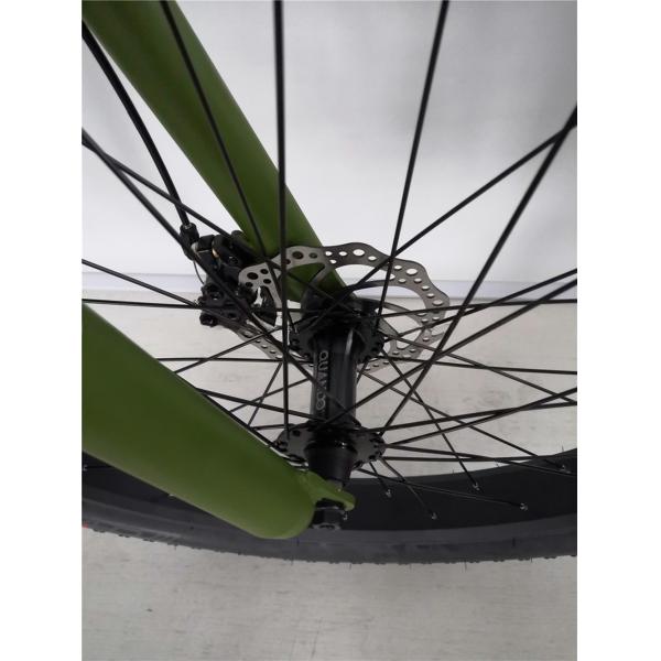 16.7 Ah Battery Capacity Electric Mountain Bicycle for Adults 26 Inch Fat Tyre Ebike