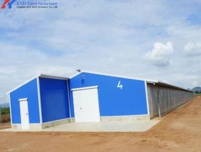 Galvanized Steel Poultry House with Automatic Feeding System for Chicken Farming