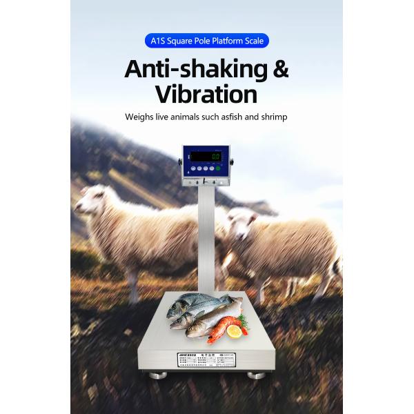 Weighing A1S Square Pole Industrial Platform Scale 60cm*80cm Stainless Steel Waterproof
