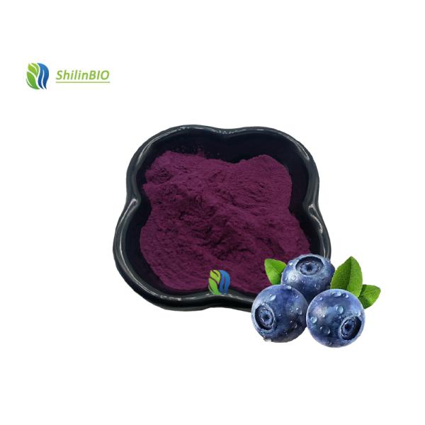 Precio al por mayor de los arándanos Frito de arándanos en polvo