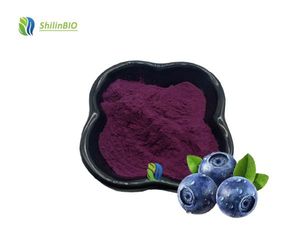 Wholesale Price Blueberry  Freeze Dried Blueberry Fruit Powder