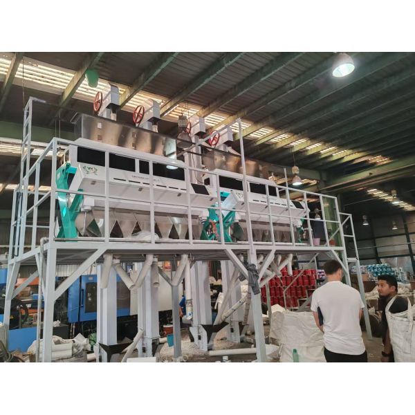 Optical Waterproof Belt Colour Sorter For Coffee Cherries Silkworm Chrysalis Frozen Vegetables
