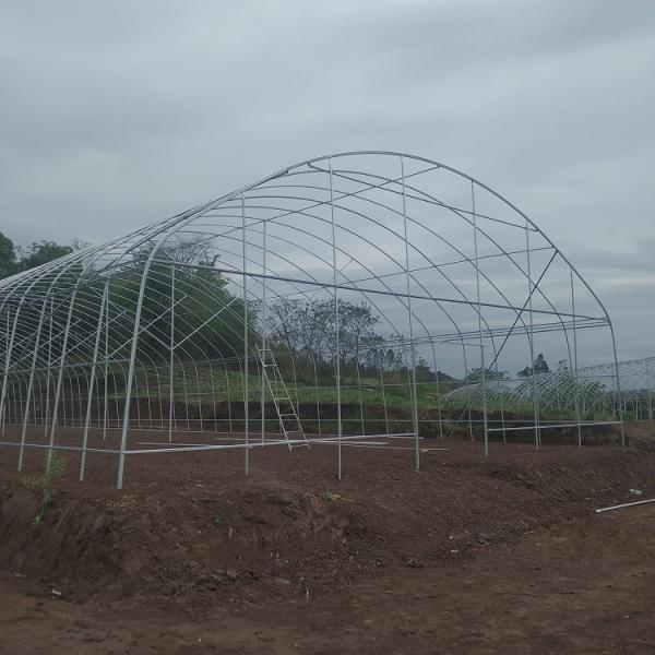Estufa UV do filme de plástico do PE da largura industrial comercial agrícola de 12m anti para colheitas